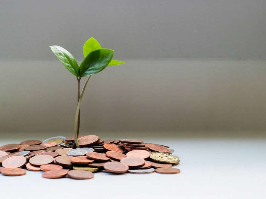 return on investment, growth